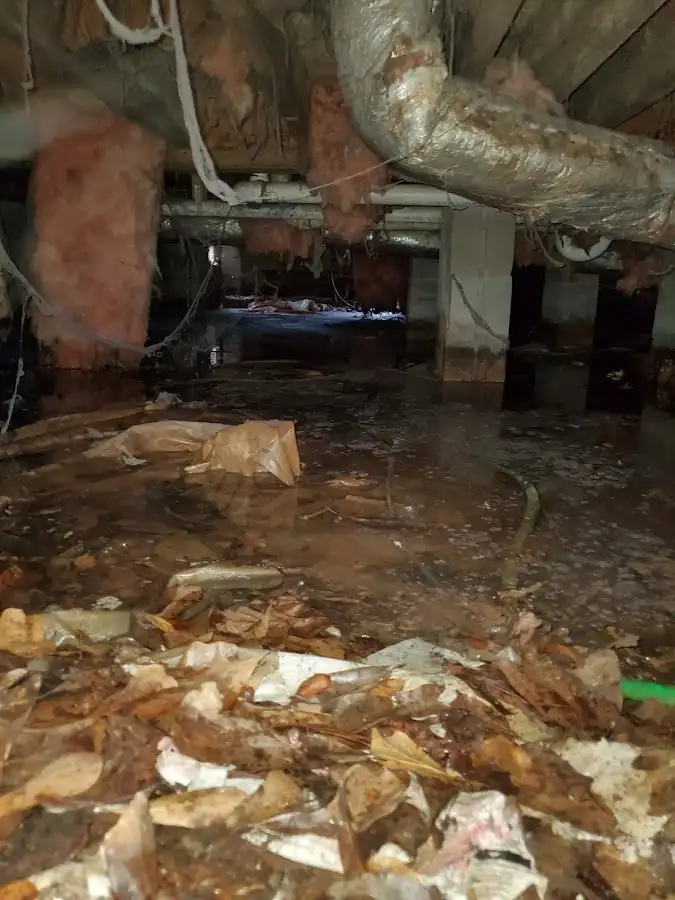 Crawl space flood assessment for Commercial Water Damage Restoration in Pukalani