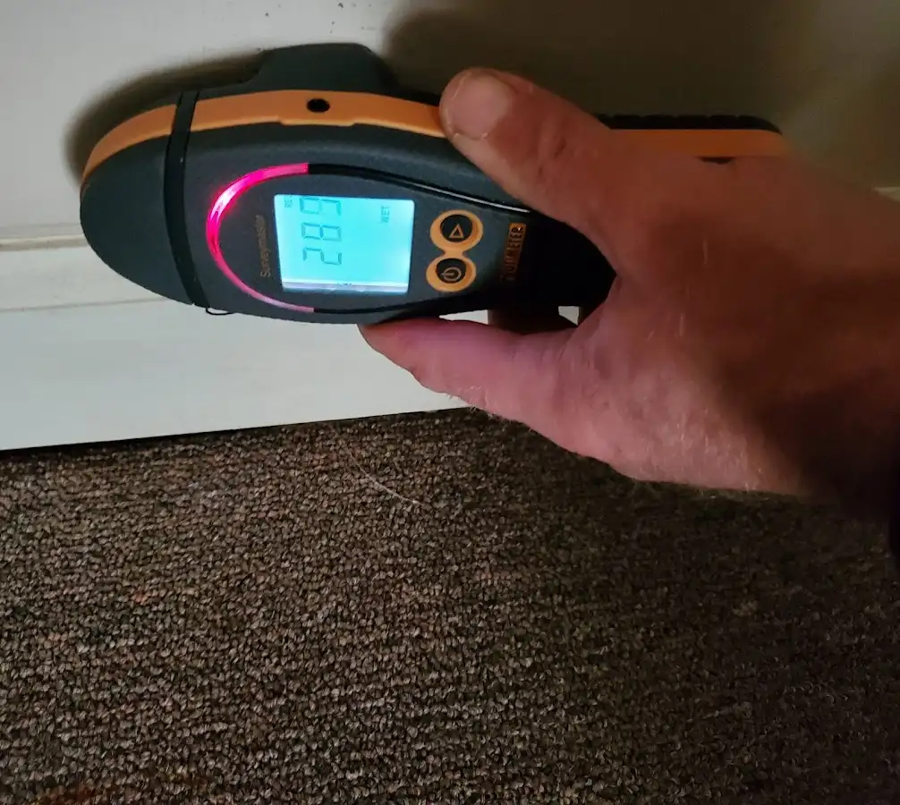 Moisture detection at baseboard during Sewage Cleanup & Sanitation in Pukalani
